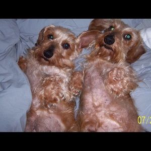 Meet your Posher, Deanna